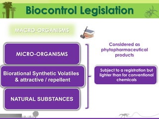 Biological Protection The (im)possibilitiies of biological protection in interior landscaping ...