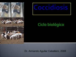 DIAPOSITIVA 132




           Ciclo biológico




Dr. Armando Aguilar Caballero, 2008
 