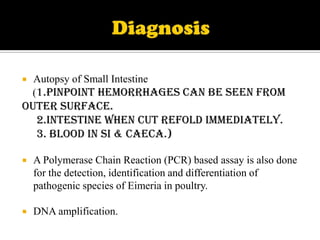 

Autopsy of Small Intestine
(1.Pinpoint hemorrhages can be seen from

outer surface.
2.Intestine when cut refold immediately.
3. Blood in SI & caeca.)


A Polymerase Chain Reaction (PCR) based assay is also done
for the detection, identification and differentiation of
pathogenic species of Eimeria in poultry.



DNA amplification.

 