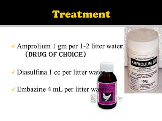  Amprolium 1

gm per 1-2 litter water.
(Drug of choice)

 Diasulfina

1 cc per litter water.

 Embazine 4

mL per litter water

 