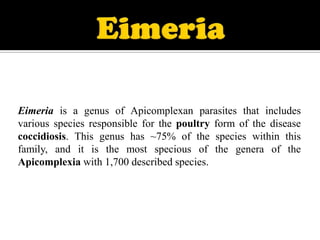 Eimeria is a genus of Apicomplexan parasites that includes
various species responsible for the poultry form of the disease
coccidiosis. This genus has ~75% of the species within this
family, and it is the most specious of the genera of the
Apicomplexia with 1,700 described species.

 