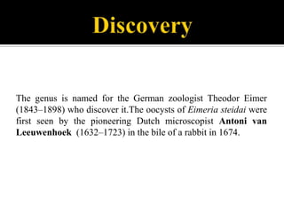 The genus is named for the German zoologist Theodor Eimer
(1843–1898) who discover it.The oocysts of Eimeria steidai were
first seen by the pioneering Dutch microscopist Antoni van
Leeuwenhoek (1632–1723) in the bile of a rabbit in 1674.

 
