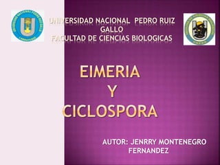 UNIVERSIDAD NACIONAL PEDRO RUIZ
GALLO
FACULTAD DE CIENCIAS BIOLOGICAS
AUTOR: JENRRY MONTENEGRO
FERNANDEZ
 