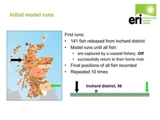 Initial model runs
First runs:
• 141 fish released from Inchard district
• Model runs until all fish:
• are captured by a coastal fishery, OR
• successfully return to their home river
• Final positions of all fish recorded
• Repeated 10 times
Inchard district, 56
 