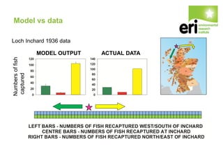 Model vs data
MODEL OUTPUT ACTUAL DATA
Numbersoffish
captured
Loch Inchard 1936 data
 