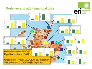 Model versus additional real data
Left-hand charts: MODEL
Right-hand charts: DATA
Green bars – ‘ANTI-CLOCKWISE’ migration
Yellow bars – ‘CLOCKWISE’ migration
 