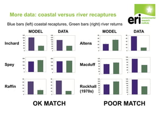 More data: coastal versus river recaptures
Inchard
MODEL DATA
Spey
Raffin
OK MATCH
MODEL DATA
Altens
Macduff
Rockhall
(1970s)
POOR MATCH
Blue bars (left) coastal recaptures, Green bars (right) river returns
 
