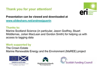 Work supported by
The Crown Estate
Marine Renewable Energy and the Environment (MaREE) project
Thank you for your attention!
Presentation can be viewed and downloaded at
www.slideshare.net/andrewjguerin
Thanks to:
Marine Scotland Science (in particular, Jason Godfrey, Stuart
Middlemas, Julian MacLean and Gordon Smith) for helping us with
access to tagging data
 