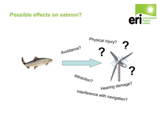 Possible effects on salmon?
?
?
?
 