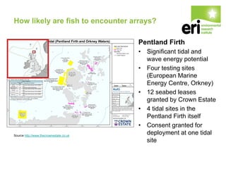 How likely are fish to encounter arrays?
Source http://www.thecrownestate.co.uk
Pentland Firth
• Significant tidal and
wave energy potential
• Four testing sites
(European Marine
Energy Centre, Orkney)
• 12 seabed leases
granted by Crown Estate
• 4 tidal sites in the
Pentland Firth itself
• Consent granted for
deployment at one tidal
site
 