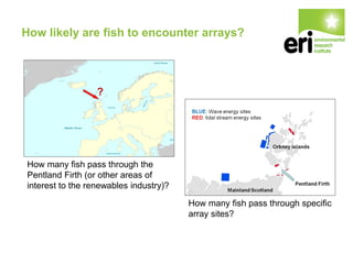 How likely are fish to encounter arrays?
How many fish pass through the
Pentland Firth (or other areas of
interest to the renewables industry)?
How many fish pass through specific
array sites?
 