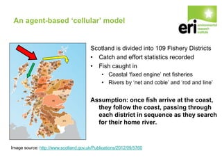 An agent-based ‘cellular’ model
Scotland is divided into 109 Fishery Districts
• Catch and effort statistics recorded
• Fish caught in
• Coastal ‘fixed engine’ net fisheries
• Rivers by ‘net and coble’ and ‘rod and line’
Assumption: once fish arrive at the coast,
they follow the coast, passing through
each district in sequence as they search
for their home river.
Image source: http://www.scotland.gov.uk/Publications/2012/09/5760
 