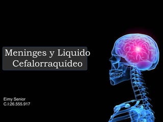 Meninges y Liquido
Cefalorraquídeo
Eimy Senior
C.I:26.555.917
 