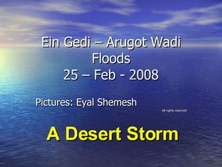 Ein Gedi – Arugot Wadi Floods 25 – Feb - 2008 Pictures: Eyal Shemesh All rights reserved A Desert Storm  