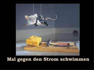 Mal gegen den Strom schwimmen 