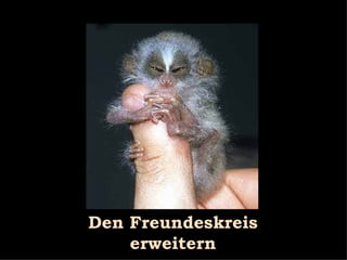 Den Freundeskreis erweitern 