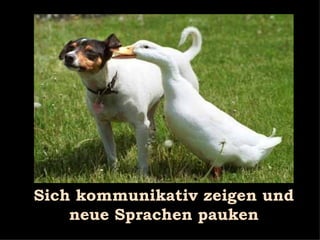 Sich kommunikativ zeigen und neue Sprachen pauken 