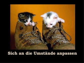 Sich an die Umstände anpassen 