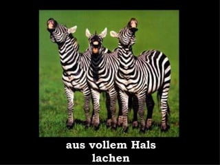 aus vollem Hals lachen 