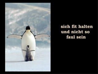 sich fit halten und nicht so  faul sein 