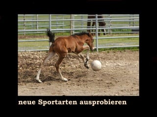 neue Sportarten ausprobieren 