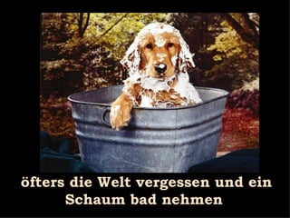 öfters die Welt vergessen und ein Schaum bad nehmen 