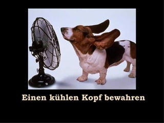 Einen kühlen Kopf bewahren 