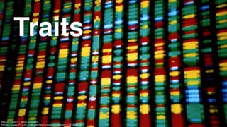 50
Traits
Photo credit: Andy Leppard
https://www.flickr.com/photos/creativecomputer/261445720/
 