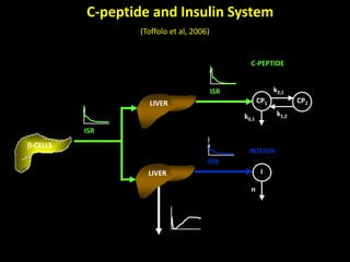 Minimal and maximal models of glucose metabolism | PPTX