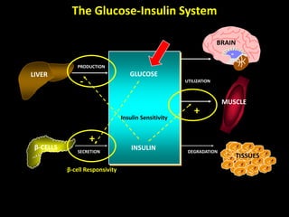 Minimal and maximal models of glucose metabolism | PPTX