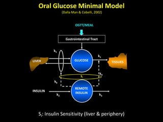 Minimal and maximal models of glucose metabolism | PPTX