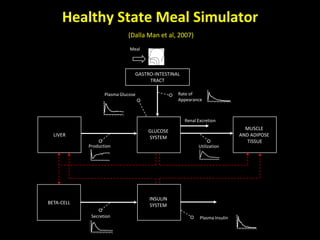 Minimal and maximal models of glucose metabolism | PPTX