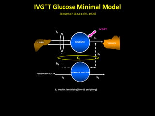 Minimal and maximal models of glucose metabolism | PPTX