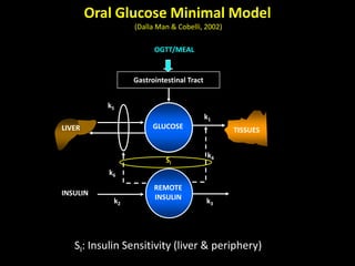 Minimal and maximal models of glucose metabolism | PPTX