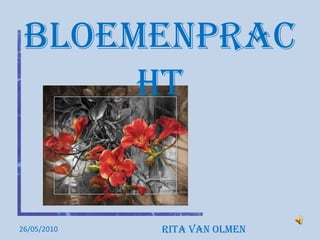 Bloemenprac
      ht


26/05/2010   Rita Van Olmen
 