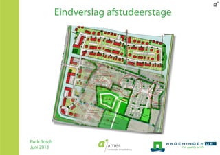 Eindverslag Ruth Bosch 20130614