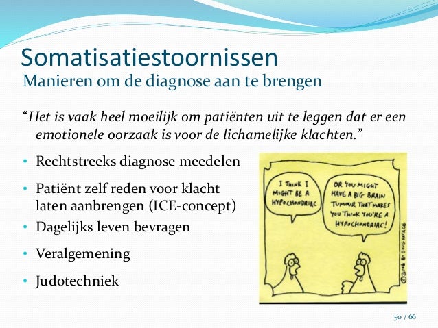 somatische fixatie
