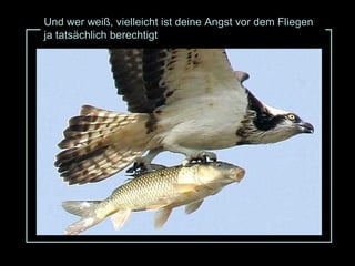 Und wer weiß, vielleicht ist deine Angst vor dem Fliegen ja tatsächlich berechtigt 