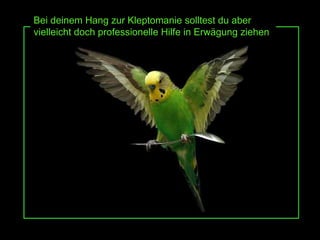 Bei deinem Hang zur Kleptomanie solltest du aber vielleicht doch professionelle Hilfe in Erwägung ziehen 