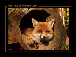 Also, raus aus deinem Loch! 