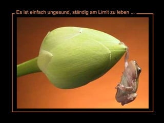 Es ist einfach ungesund, ständig am Limit zu leben ... 