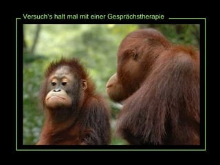 Versuch‘s halt mal mit einer Gesprächstherapie 