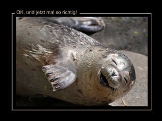 OK, und jetzt mal so richtig! 