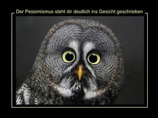 Der Pessimismus steht dir deutlich ins Gesicht geschrieben 