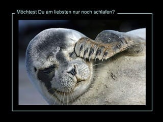 Möchtest Du am liebsten nur noch schlafen? 