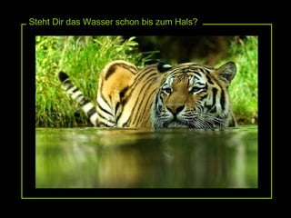 Steht Dir das Wasser schon bis zum Hals? 