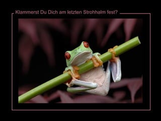 Klammerst Du Dich am letzten Strohhalm fest? 