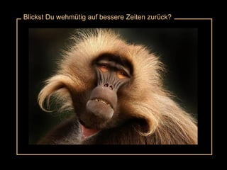 Blickst Du wehmütig auf bessere Zeiten zurück? 