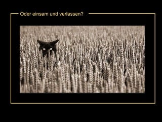 Oder einsam und verlassen? 