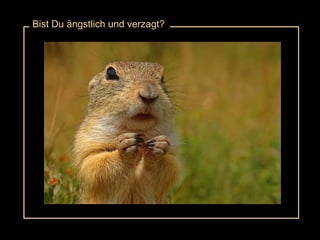 Bist Du ängstlich und verzagt? 